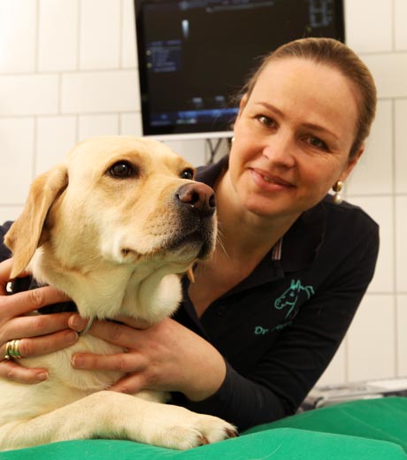 Kleintierpraxis - Dr. Christina Gremmes mit Hund